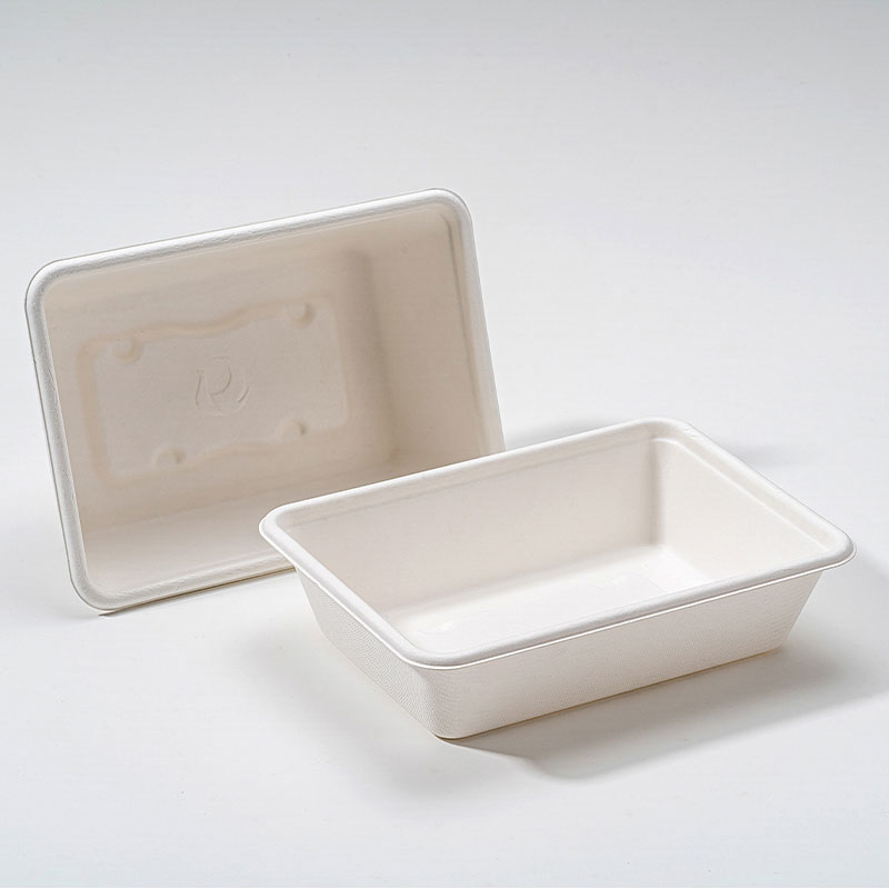 کیوں Bagasse Square Box پائیدار فوڈ پیکیجنگ کا مستقبل ہے؟